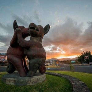 Meet your Posher, Rocio